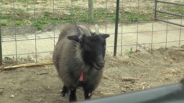 4-4-4 Short Film Example