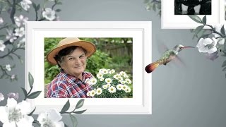 DVD Templates - Hummingbird Memorial Slideshow