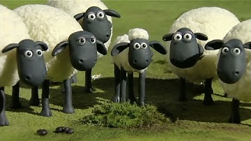 Shaun the Sheep - LIVE 🚨 BRAND NEW EPISODES 🐑 Cartoons for kids, Preschool, Farm
