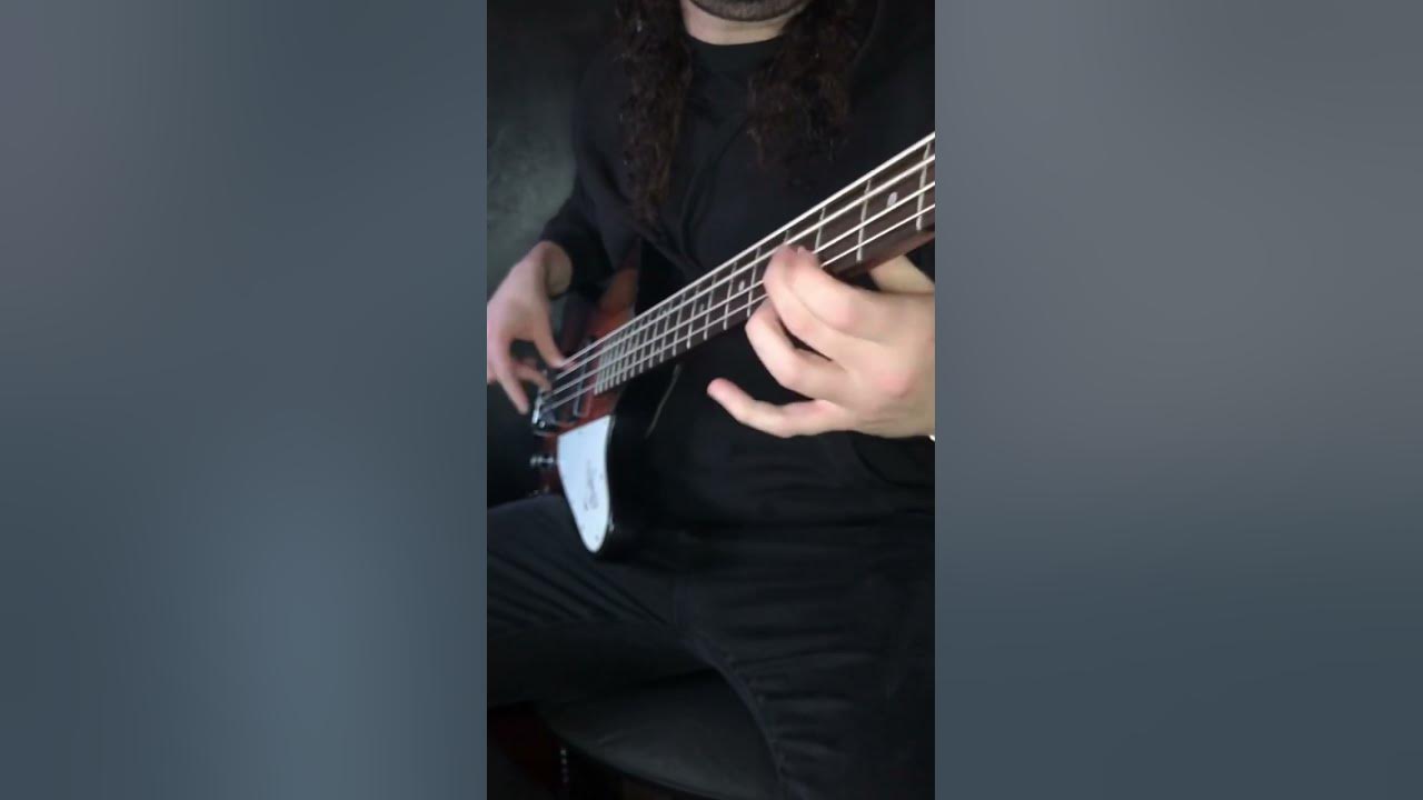 Iron Maiden - The Trooper (Bass Guitar Cover) Iron Maiden - The Trooper (Bass Guitar Cover)