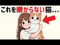 【猫の雑学50選】意外と知らない猫の面白い豆知識＆あるある #雑学 #豆知識 #猫