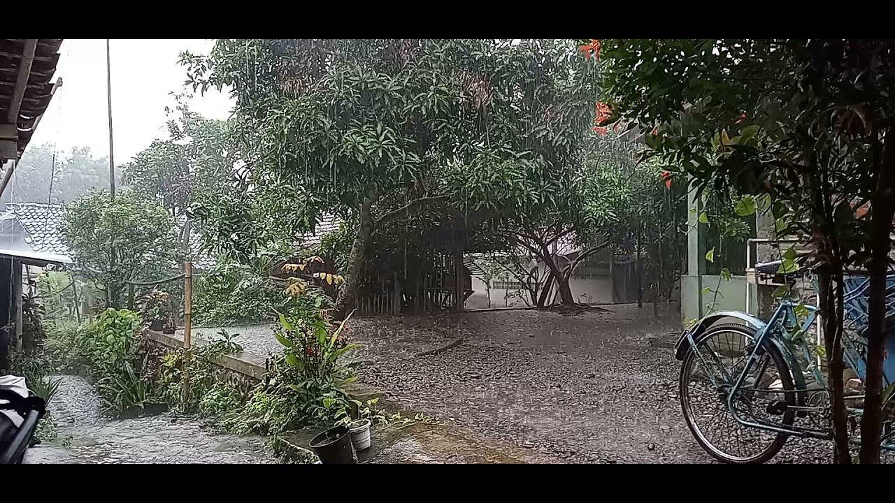 Rain Sound Relaxation In Central Java Village, Indonesia