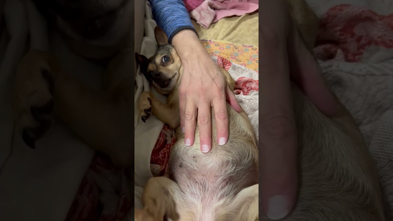 She enjoying belly massage 