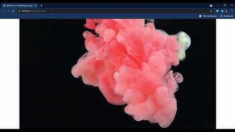 How To Add Video In Text Background Using HTML And CSS In Just 5 Minutes|