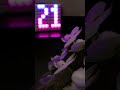 🕓 neopixel clock! 🕒 #microbit #WS2812b #3dprinting #diy #techart