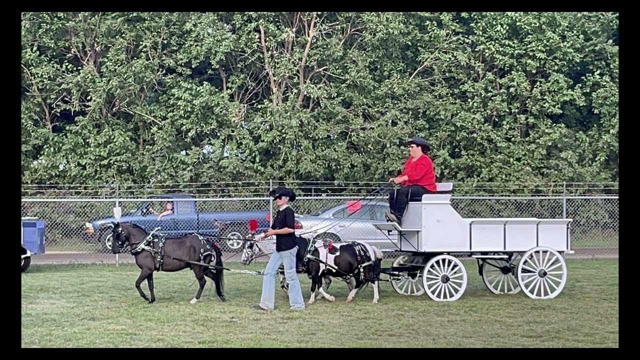 SP Farms Miniature Horse Wagons & Carts