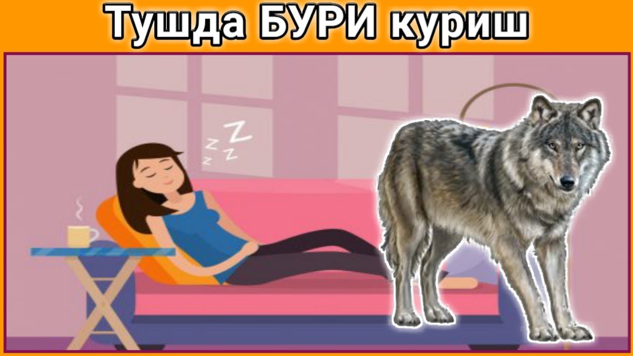 Тушда машина хайдаш