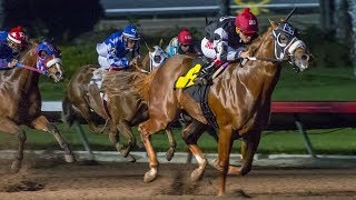 2017 Champion of Champions & Los Al Two Million - Top Contenders