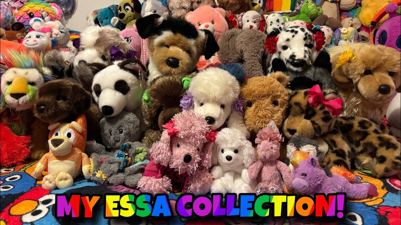 MY ESSA COLLECTION! | 1k Subscribers Special
