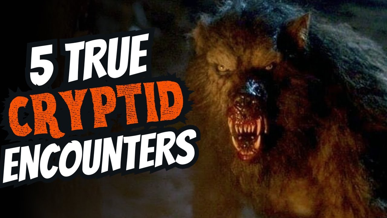5 True Cryptid Encounters That Will Terrify You