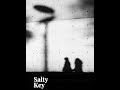Salty Key | Laid-Back Hiphop Beat (80 BPM / Cm)