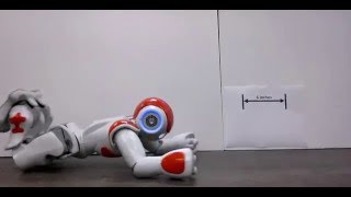 Nao Robot executing Projected Profile crawl gait