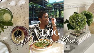 Soft Sundays Vlog | Spring Reset, Sunday Reset Routine, New Home Finds & Lunch With My Daughter screenshot 4