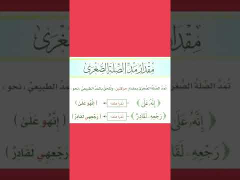 أمثله على الصله الصغرى