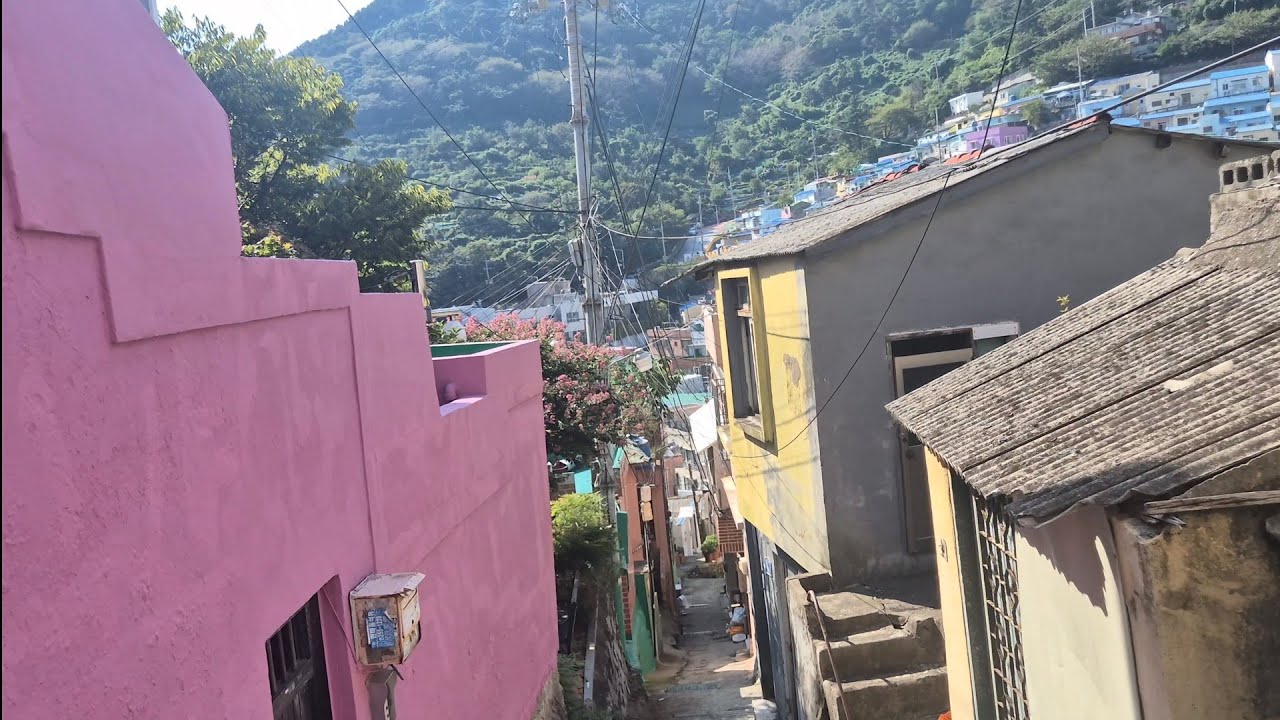 『부산 사하구 감천2동 감천문화마을』 도보 기록｜관광지의 화려함 뒤에 드러난 민낯