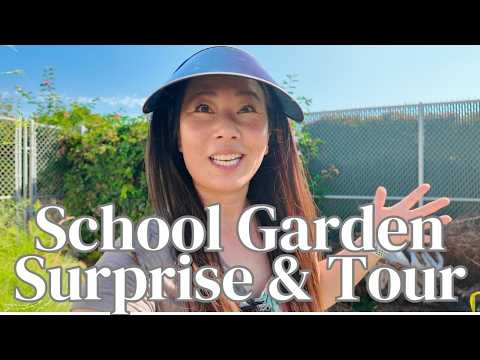 Take a Tour of Our Amazing School Garden!