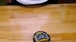 Tibots - Some Experiments