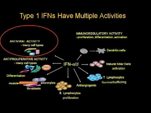 Video: Hepatitis C In Osteuropa Und Zentralasien: Eine Übersicht über Epidemiologie, Behandlungszugang Und Zivilgesellschaftliche Aktivitäten In Elf Ländern