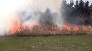 A Video of Burning my Warm Season Grasses Habitat.