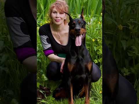 #Doberman power