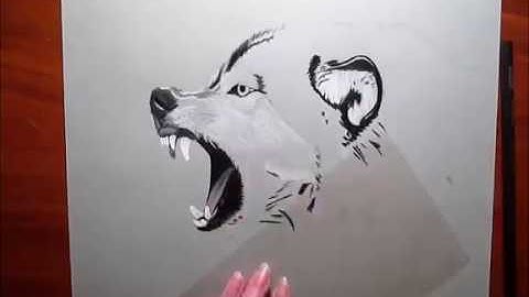 Java da Zero: Introduzione al Corso