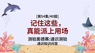 28 zh longform 54 20260818 220214