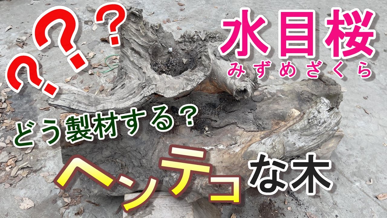 【樺（カバ）】変わった形の水目桜を製材