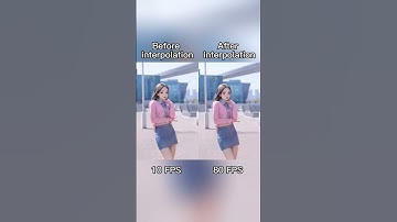 AI dance animation | Apink NoNoNo (before and after frame interpolation)