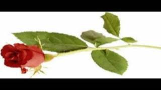 Pyar ek phool hai - Nursat fateh ali khan