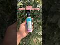 Best Rosemary water for hair growth 🤯 | Pilgrim Spanish rosemary water #shorts #unboxing