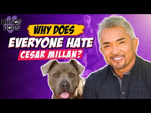 The Controversial Cesar Millan The Dog Whisperer