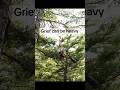 Grief can be heavy! #cancerjourney #healingjourney #cancersurvivor