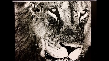 Gravostyle Photolase software - Quick Demo