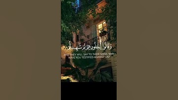 سورة فصلت الآيات{٢٠-٢١}#quran #المصحف #اكسبلور #دويتو #لايك #islamicfestival #راحة_نفسية #islamichol