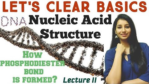 Nucleic Acid Structure Lecture- 2 |How Phosphodiester Bond is Synthesised between two Nucleotides?