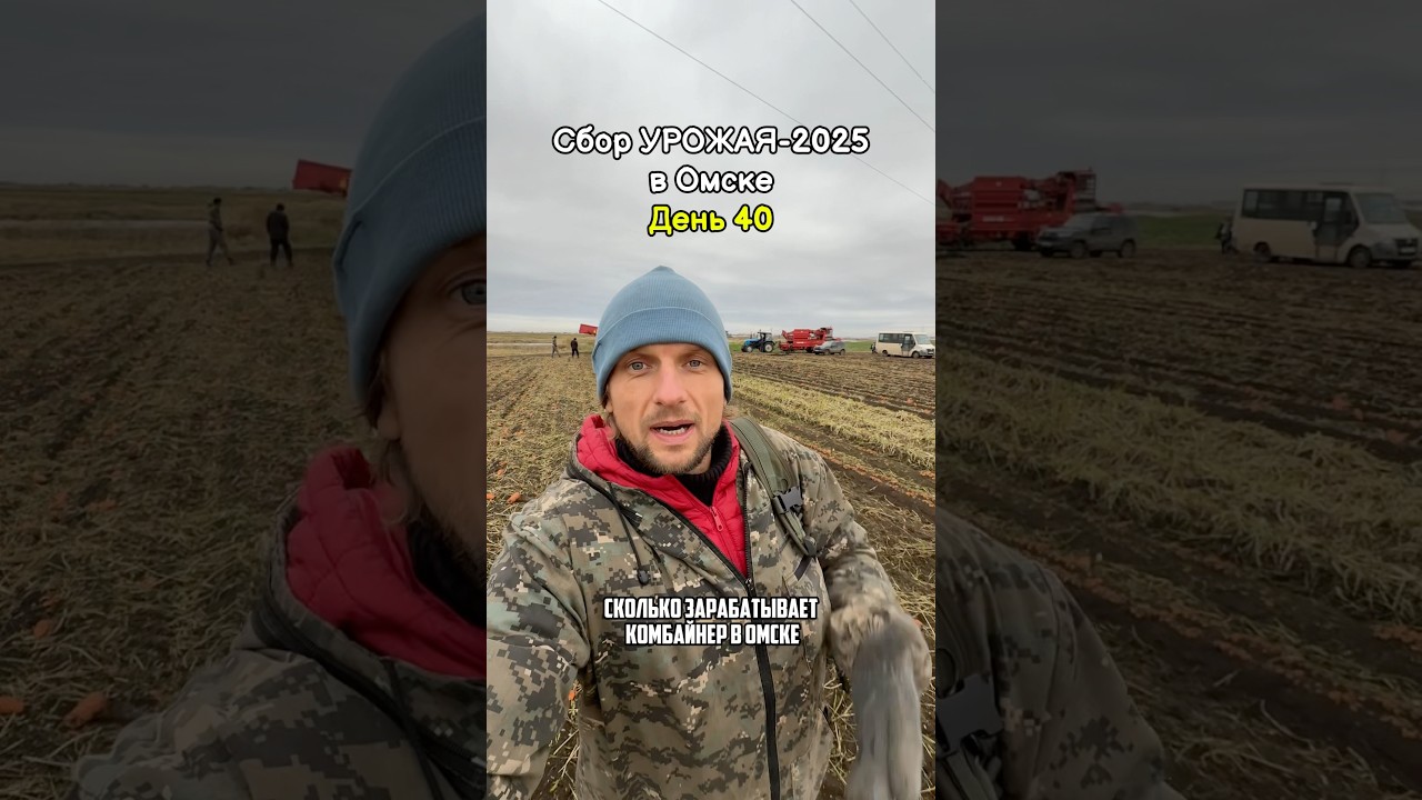 Достойная зп? 