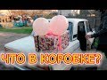 VLOG Поздравляем Хатуну с Днём Рождения.