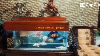 dunia dikala senja.. #halah..haa