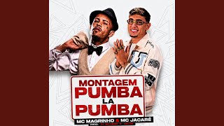 Download lagu MONTAGEM PUMBA LA PUMBA