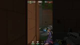 Ох уж этот спрей #валорант #валорантснг #валорантмоменты #gekko #lotus #valorant #omen #sunset