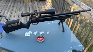 Benjamin Marauder .22 94 Yard Plinkin