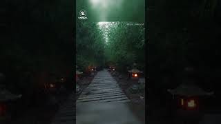 Take a walk through a rainy bamboo garden! #unrealengine5 #shorts