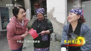 《生财有道》 20230518 七十二奇楼引来“金凤凰”| 财经风云