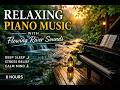 Calm Piano Music for Sleep 🌙 Deep Relaxation, Insomnia Relief & Gentle Night Ambience (10 Hours).mp4
