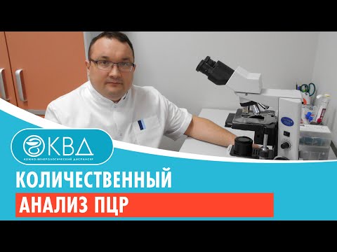 Количественный анализ ПЦР