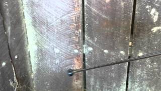 Pest control Bunbury - Finding hidden termites via "tapping technique - part 1 of 2