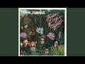 Three Dog Night - It's a Jungle