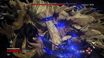 Code Vein Lord of Thunder 10+ difficulty No Damage