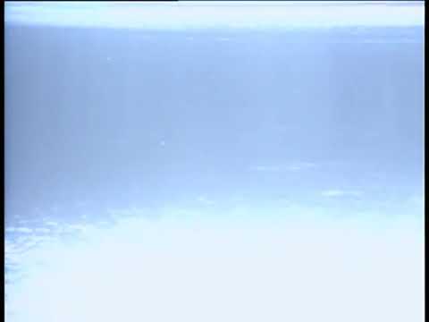 陳慧嫻 - 人生何處不相逢