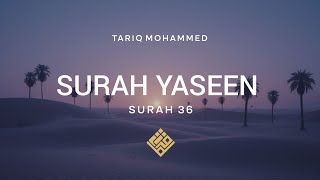 Surah Yaseen (سورة يس) | Heart of the Quran | Peaceful & Soul Touching Recitation